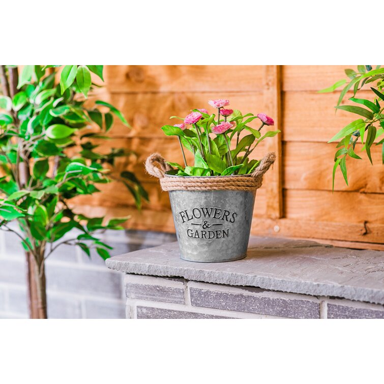 Wayfair plant outlet pots